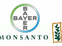 Open Letter to Bayer CropScience: Bayer Has Never Been Transparent In Its Life!
