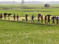 Why India needs a rural uprising