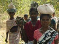 HRF Condemns Eviction Order of Adivasis