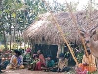 Tribal health in India: An eternity of backwardness?
