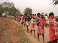 Adivasis ignored in the Budget