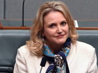 Gideon Polya: Pro-Apartheid Israel Australian Labor Party Scraps Outstanding Anti-Apartheid Candidate, Melissa Parke