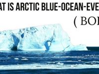 Robert Hunziker- The Blue Ocean Event and Collapsing Ecosystems