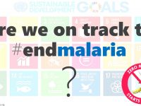 Are we on track to #endmalaria?