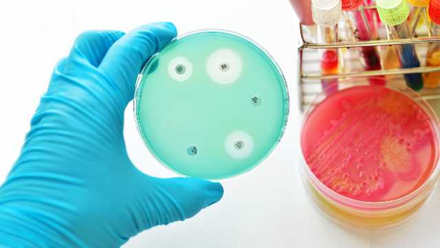 new tools for combating antibiotic resistance 299590