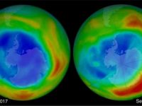 Ozone-Depleting CFCs Return