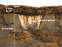 The Permafrost Nightmare Turns (More) Real