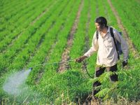 From the Green Revolution to GMOs: Toxic Agriculture Is the Problem Not the Solution