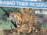 Plan To Start A Uranium Mine In Amrabad Tiger Reserve Must Be Resisted