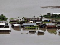 Flood In Assam And Bihar, Dozens Dead