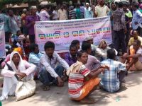 Community Forest Rights and the Pandemic: Gram Sabhas lead the way