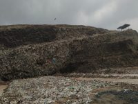 India’s Solid Waste Management System
