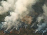 Wildfires rage throughout the Amazon rainforest