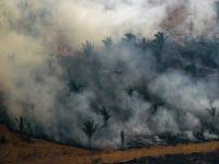 As New Fires Rage in Amazon, Global Calls for Urgent Action to Avert ‘Astronomical’ Impacts to ‘Life on Earth’