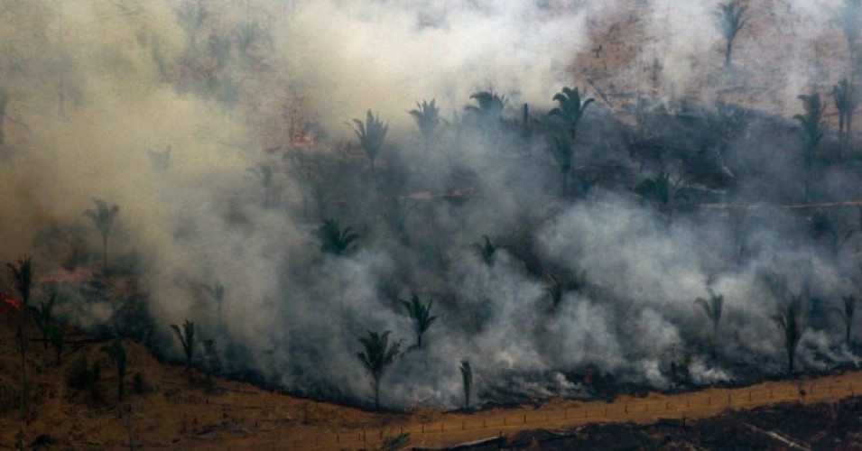 amazon fires implications life earth