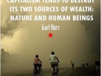 Nature And Human Beings