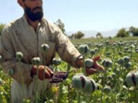 US-imposed Opiate Holocaust –  US Protection Of  Afghan Opiates Has Killed 5.2 Million People Since 9-11