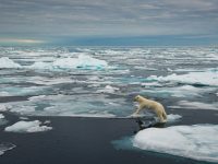The Time for Postponing Climate Action Is Over