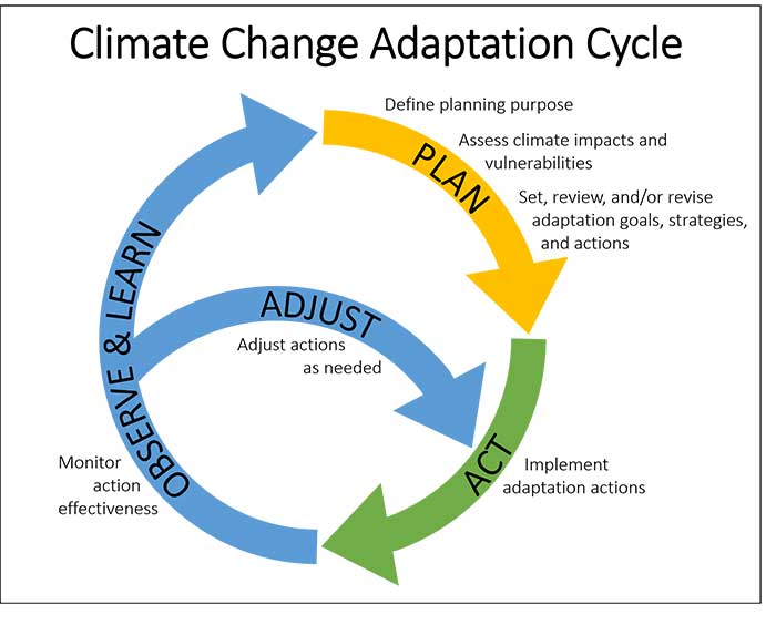 adaptation cycle