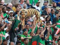 The Craze for Cricket Graceless Bangladesh Society