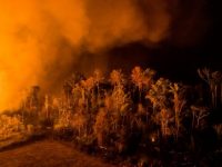 On Amazon Fires: It’s the Ecology Stupid