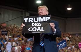 trump coal