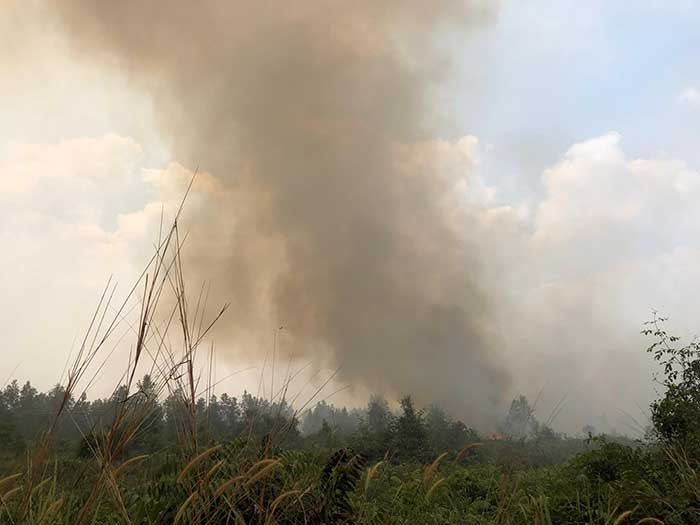 Borneo Kalimantan burning