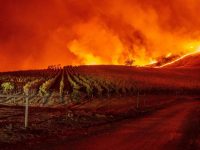 Climate Risks: Wildfires, Glacier Melt, Coastal Flooding