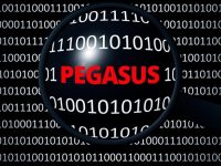 Pegasus Targeted Persons demand probe from the Parliamentary Standing Committee on Information Technology