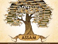 ‘ONE STATE, ONE LANGUAGE’ demands in Assam
