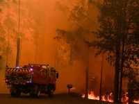Australian cities bathed in smoke from hundreds of bushfires
