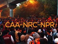 Review NPR-NRC
