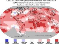 2019 was second-hottest year ever, more extreme weather ahead: WMO