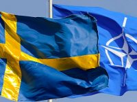  ‘Success’ as Trickster: Sweden as Cautionary Tale