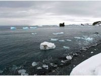 Antarctic continent suffers from record temperature of 18.3°C