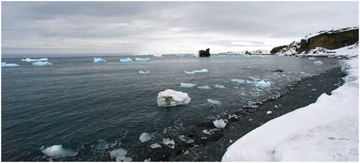antartic warming