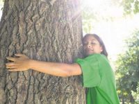 Himachal High Court Shows the Way Forward for Protecting Trees