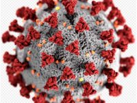 Coronavirus: Understanding Facts, Overcoming Fears, Looking ahead