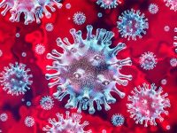 COVID-19: Dealing With An Untamable Virus