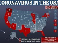 U.S. public health departments scramble against coronavirus, decimated by funding cuts