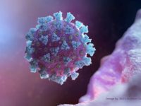 The History of Bioweapons And Why Coronavirus Isn’t One