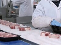 The Jungle Endures: Packing Meat in the U.S.