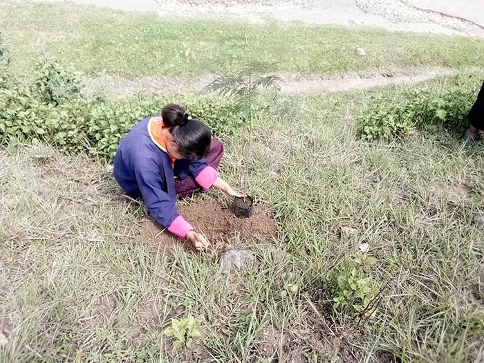 green school bhutan
