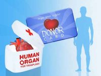 Organ donation: Knowledge and opportunities for action