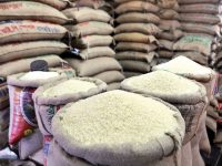 Rice Fortification May Prove to be Very Harmful for Our Food System
