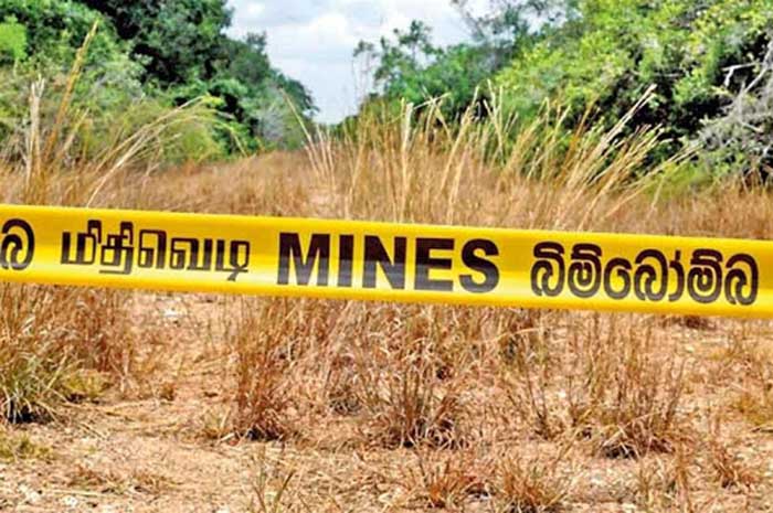 srilanka mines