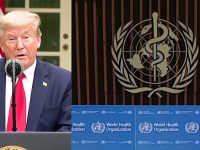 Cutting the Funding: The WHO, Trump and the Coronavirus Wars