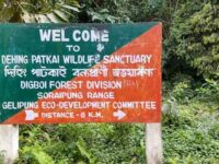Why Dehing-Patkai Protected Area of Northeast India is in Threat? – An overview