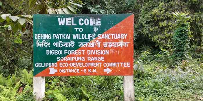 Dehing Patkai Protected Area