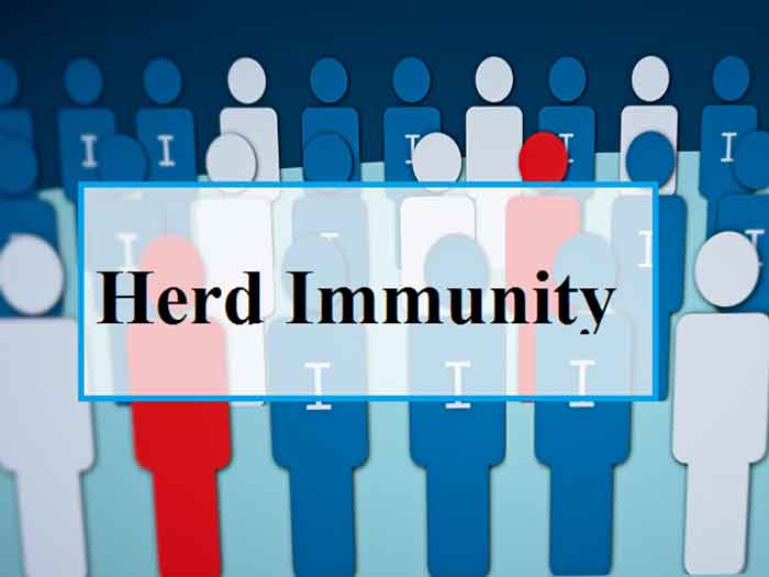 herd immunity how it works and its history